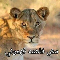 عفرتو شرمهااااا
