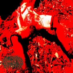 Necrophilia With A Half-Dead Stiff Body (cut)