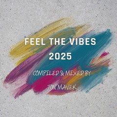 Feel The Vibes 2025