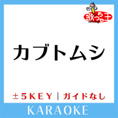 カブトムシ (原曲歌手:aiko)[ガイド無しカラオケ]