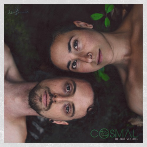 Cosmal LP (Deluxe Version)