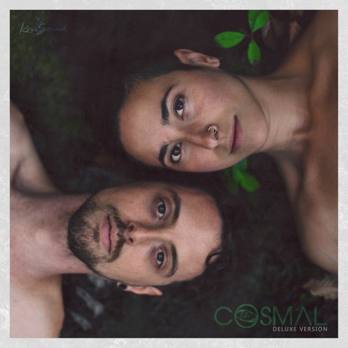 Drishti (Deluxe Master)