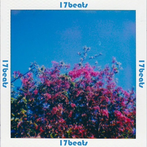 Lilac Rappers Stream LILAC BUSH by 17beats | Listen online for free on SoundCloud