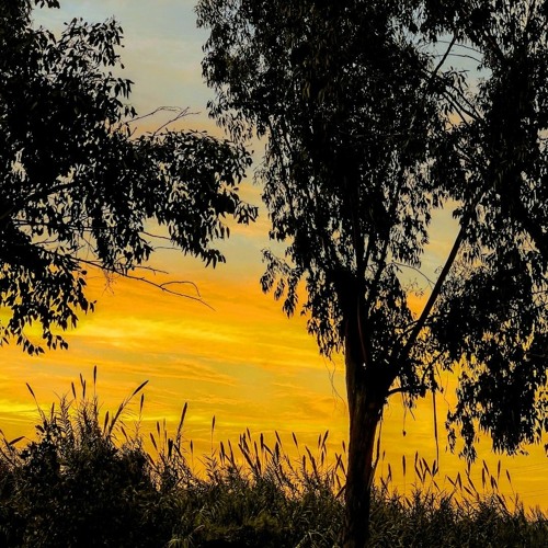 Sunrise @ Burnerot 21