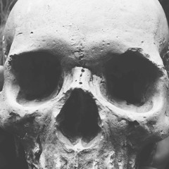 Slaughtered At Daylight