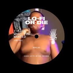 I GAVE YOU WHAT YOU WANTED-LOD-001