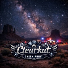 Check point (Original Mix)