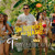 Artwork for No Sufriré Por Nadie