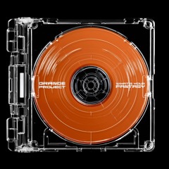 WHAT'S YOUR FANTASY - ORANGE PROJECT REMIX