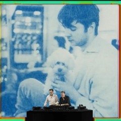 2 manydjs - Live @ Splendour in the Grass XR, Australia
