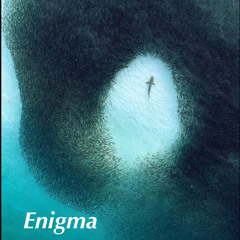 Enigma