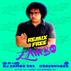Yo Quiero Bailar Ivy Queen Ft Karol G Remix DJ ZAMBO 593 PREVIE