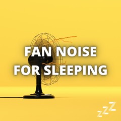Fan Noise