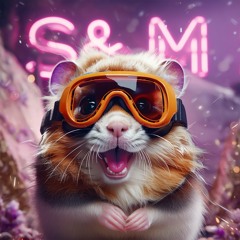 S&M