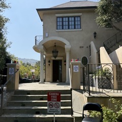 Plaqueboymax-toomuchbands