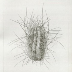 HK_Fantaisies_tracks_195