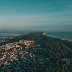 NGÀY TRÁI TIM RƠI LỆ  NGUYỄN ĐÌNH VŨ