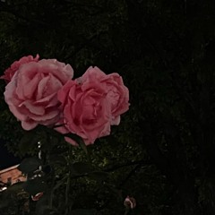 𝙰𝙻𝙻 𝙰𝙱𝙾𝚄𝚃 𝚄𝚂