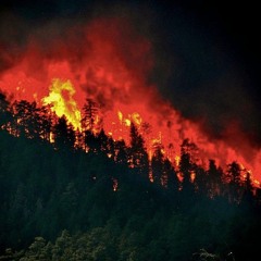 Firestorm