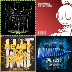 Rave Culture EDM Playlist  - Spotify