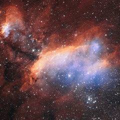 prawn nebula