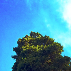 цепляясь (feat. More Than Me)