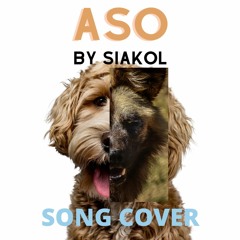 Aso by Siakol [Song Cover]