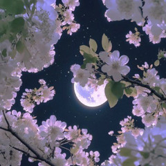 Blooming Of The Moon Flowers {Moon Edited}