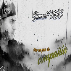Element MIC - Por Un Poco De Compañía