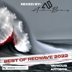 Best of Redwave 2022 mixed by Andreas Bowing