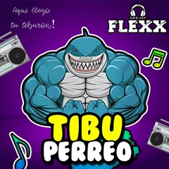 MIX TIBUPERREO (SAFAERA) - DEEJAY FLEXX 2020