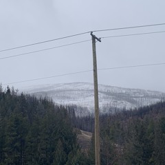 ThankGod ft Mowglizzy