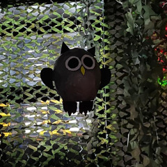 30.12.24 - Colo Nouvel An 2025