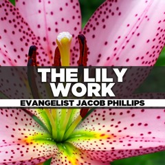 Evangelist Jacob Phillips - 2023.06.26 MON PM PREACHING -  The Lily Work