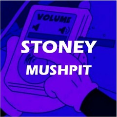 Stoney - Mushpit (Free beat)