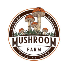DJ Murderboy - Mushroom Reunion 21.11.2025