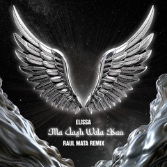 Elissa - Ma Aash Wala Kan (Raul Mata Remix)