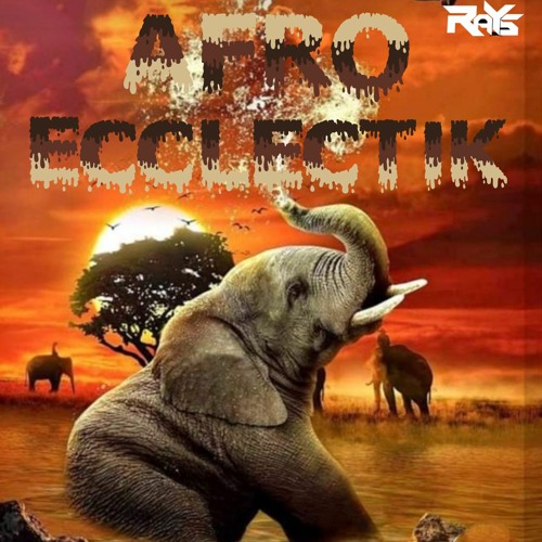 Dj Rays - AFRO ECCLECTIK 2024