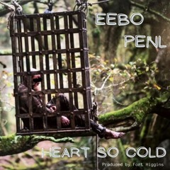 Heart So Cold feat. PenL