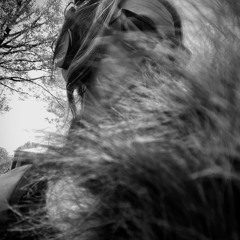 TRACES 1 - We Wept