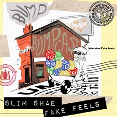 Slim Shae - Fake Feels (FREE DL)