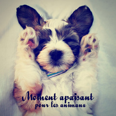 Harmonie intérieure