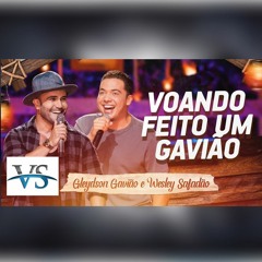 VS VOANDO FEITO GAVIÃO - GLAYDSON GAVIÃO - WS - VS DE FORRO E SERTANEJO