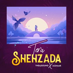 tera shehzada. [with Aizhaar]