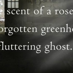 Fluttering Ghost_Naviarhaiku483