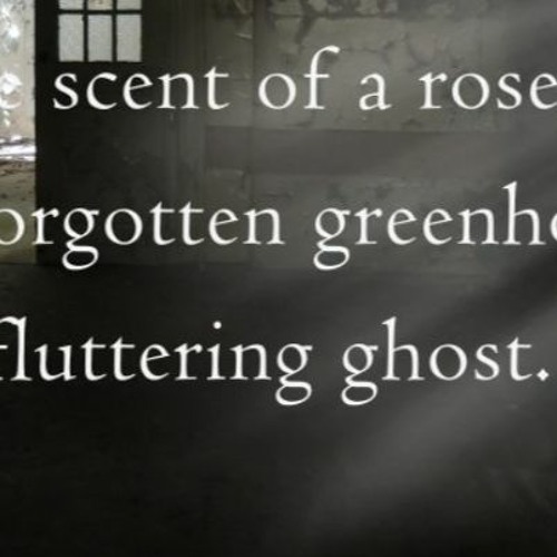 Fluttering Ghost_Naviarhaiku483