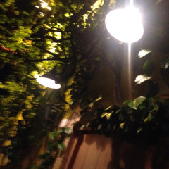 Carla Morrison - Disfrutó （ SSNTY Remix ）