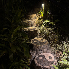 slow spiritual start before gradually picking up and ending at 155 bpm lol