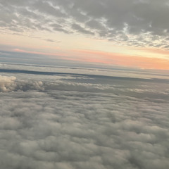 Airplane Mode (7-20-2022)