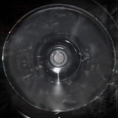 RAFAEL - PERMANENT DECISIONS, TEMPORARY PROBLEMS